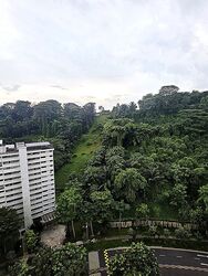 Blk 39 Telok Blangah Rise (Bukit Merah), HDB 5 Rooms #562864721